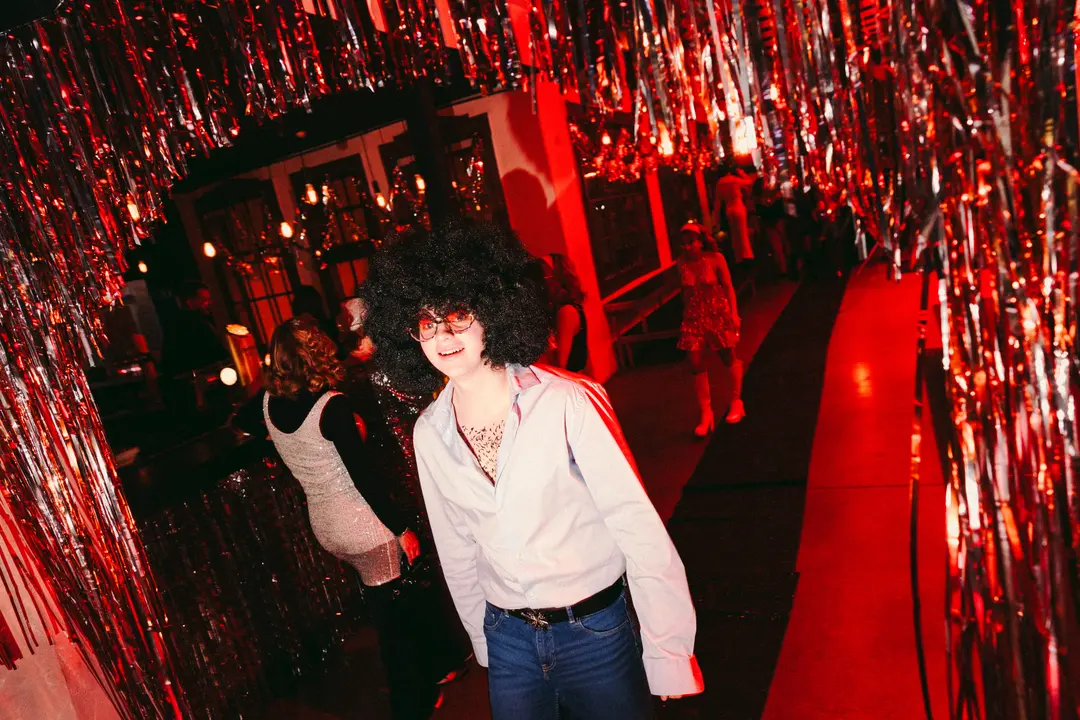 Plesy